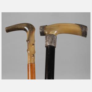 Zwei Spazierstöcke Horn