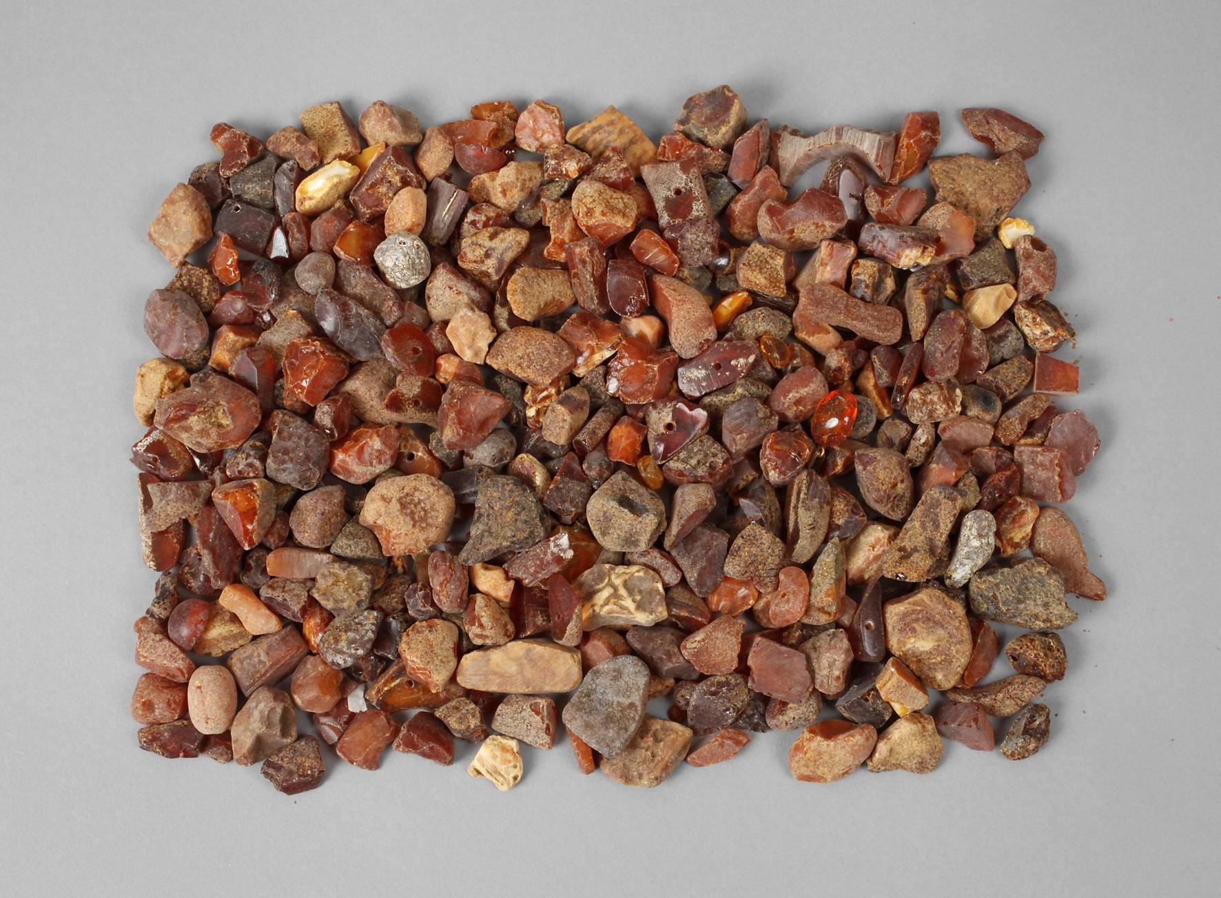 Konvolut Naturbernstein