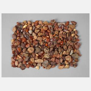 Konvolut Naturbernstein