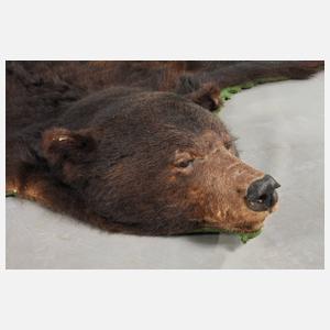 Fell eines Braunbären