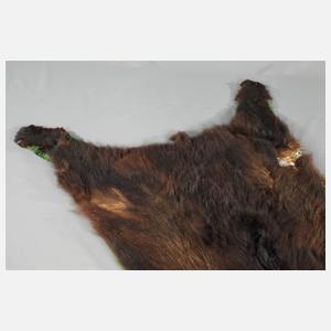 Fell eines Braunbären