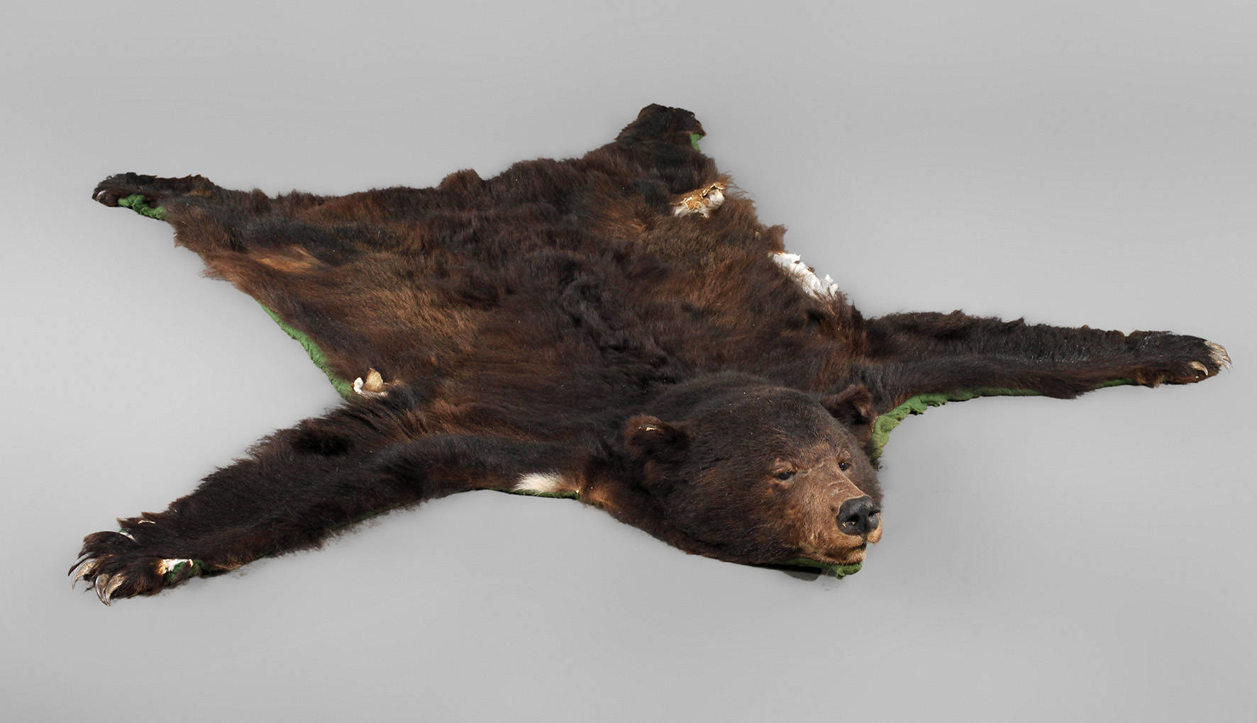 Fell eines Braunbären