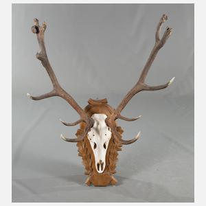 Große Jagdtrophäe