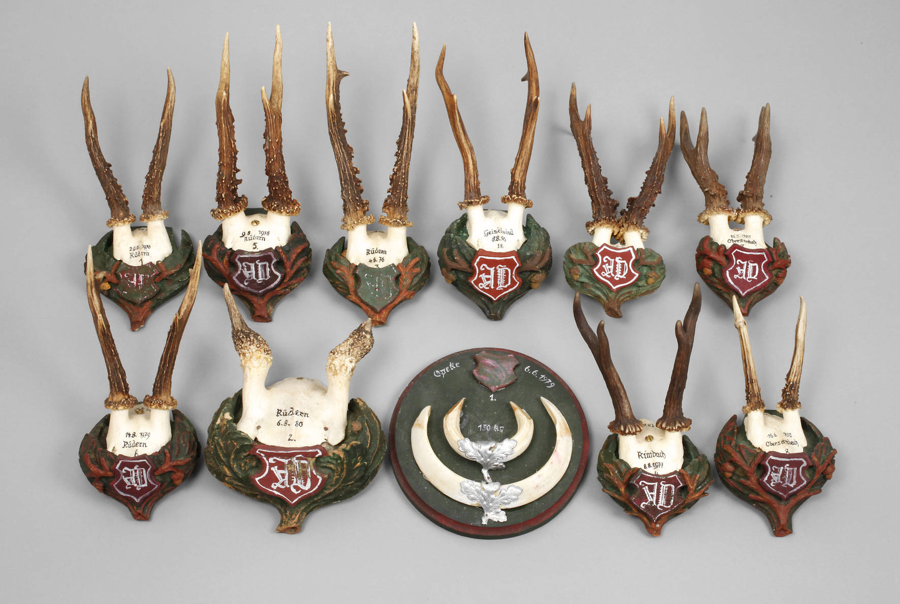 Konvolut Jagdtrophäen