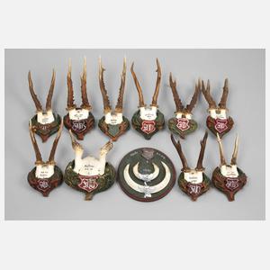 Konvolut Jagdtrophäen