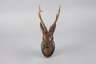 Geschnitzte Jagdtrophäe