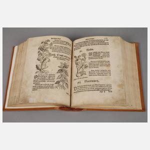 Schellenbergs Arzneibuch 1546/Michaels Feldarbeitsbuch 1545