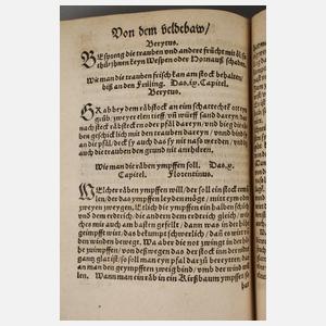 Schellenbergs Arzneibuch 1546/Michaels Feldarbeitsbuch 1545