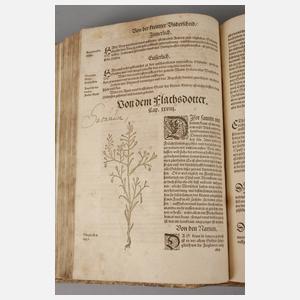 Bocks Kräuterbuch 1577