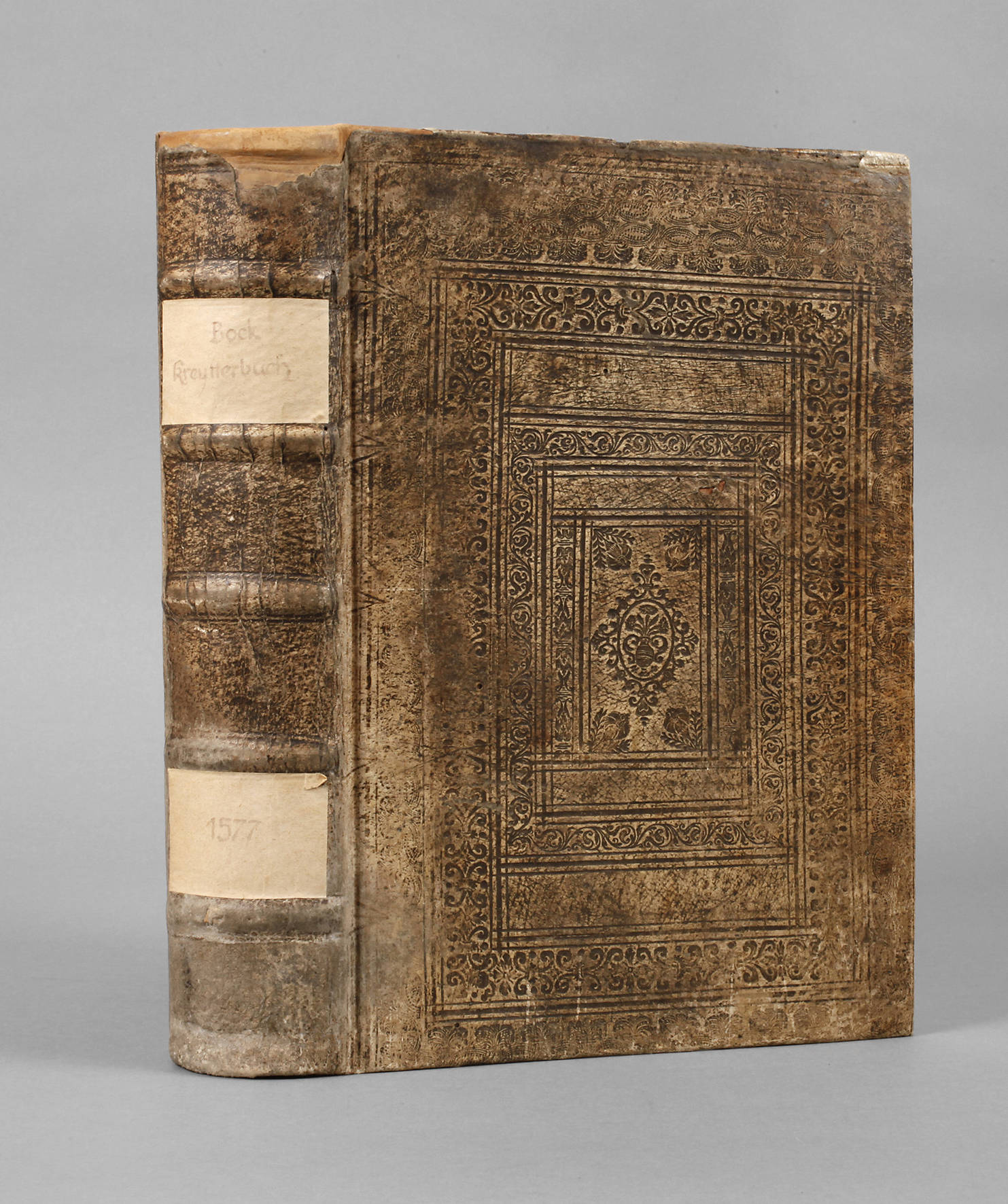 Bocks Kräuterbuch 1577