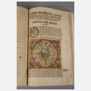 Bocks Kräuterbuch 1630