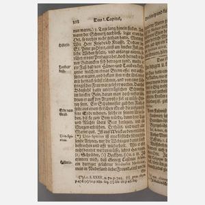 Paullinis Dreck-Apotheke 1748