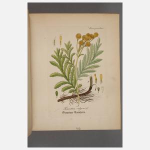 Arthus´ Handatlas der Heilpflanzen 1876