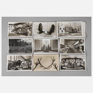 Postkarten Jagdausstellung Berlin