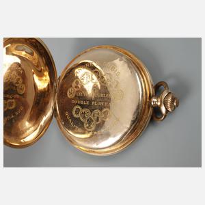 Goldsavonnette Levrette