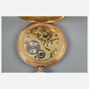 Goldsavonnette Levrette