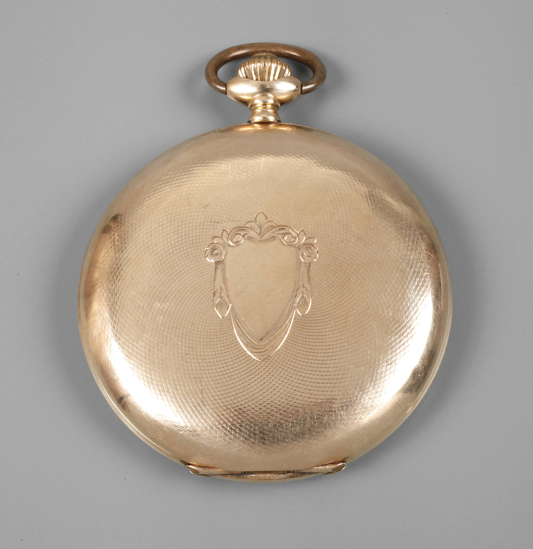 Goldsavonnette Levrette