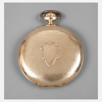 Goldsavonnette Levrette111