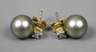 Paar Ohrstecker mit Perlen