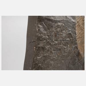 Fossilienplatte