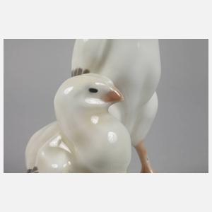 Meissen ”Junge Brahmahühner”