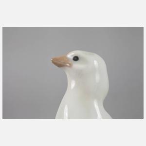 Meissen ”Junge Brahmahühner”