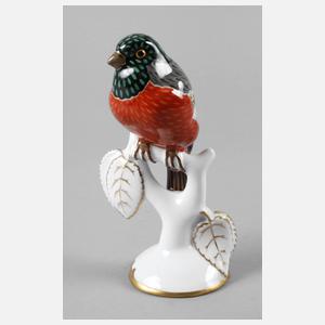 Zeh, Scherzer & Co. Gimpel