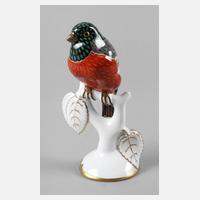 Zeh, Scherzer & Co. Gimpel111