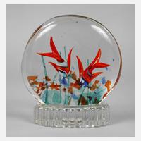 Murano Aquarium111