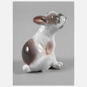 Dahl-Jensen Kopenhagen französische Bulldogge