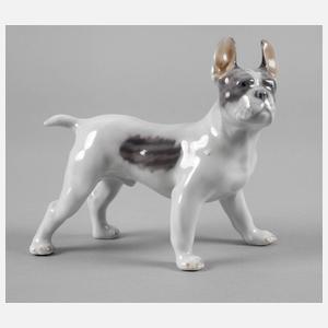 Royal Copenhagen ”Boston Terrier”