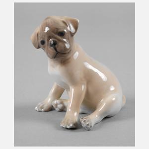 Royal Copenhagen Mopswelpen