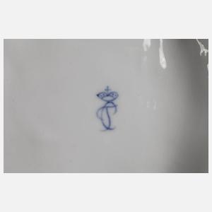 Mannheim Bologneser Hund