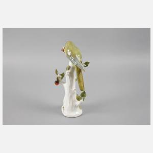 Meissen ”Papagei auf Stamm, fressend”