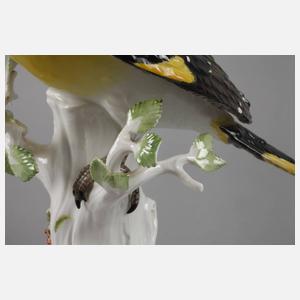 Meissen ”Pirol auf Stamm”