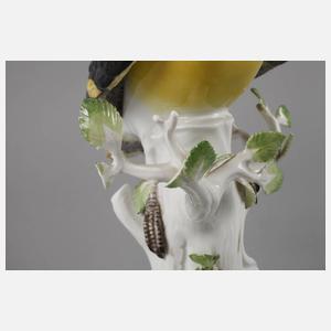 Meissen ”Pirol auf Stamm”