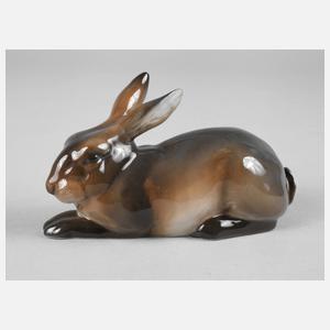 Rosenthal Hase