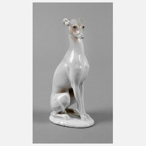 Rosenthal Windhund