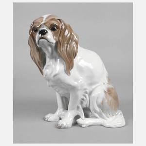 Rosenthal großer ”King Charles Spaniel”