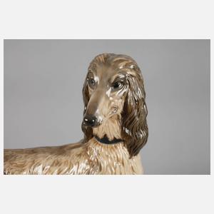 Rosenthal Afghanischer Windhund