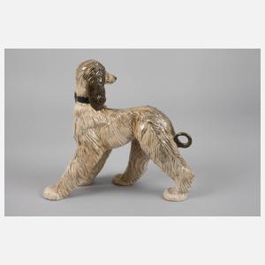 Rosenthal Afghanischer Windhund