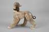 Rosenthal Afghanischer Windhund