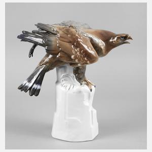 Karl Ens Volkstedt ”Bussard auf Felsen”