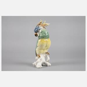 Karl Ens Volkstedt Papagei