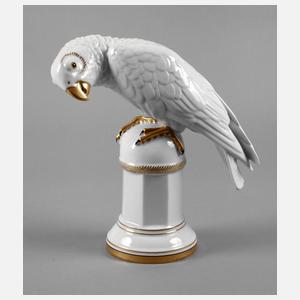 Zeh, Scherzer & Co. ”Papagei”