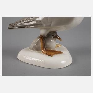 Goldscheider Möwe mit Küken