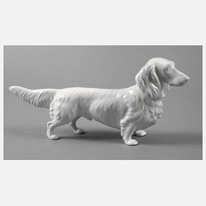 Max Roesler Rodach Dackel