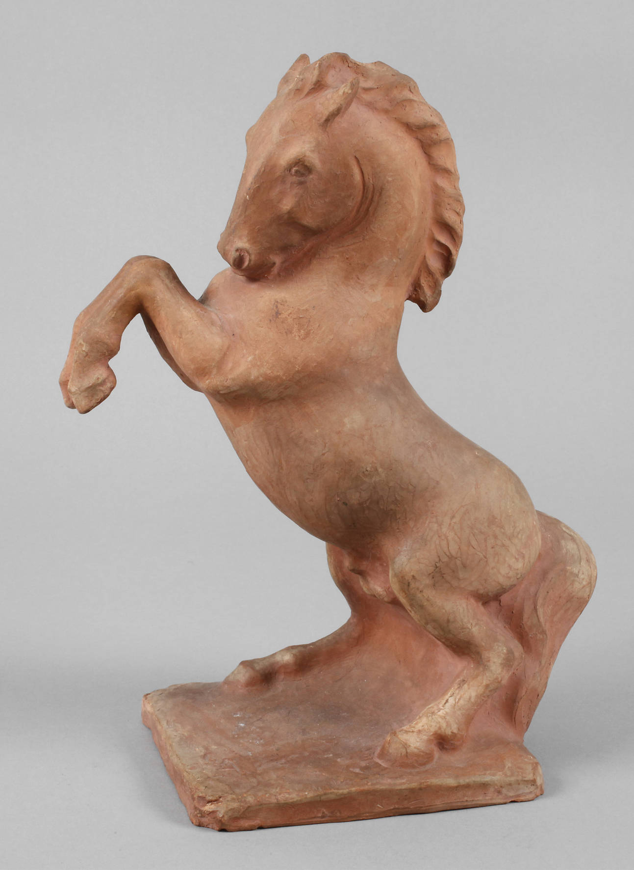 Steigendes Pferd Terrakotta