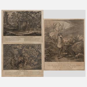 Johann Elias Ridinger, Konvolut Wilddarstellungen