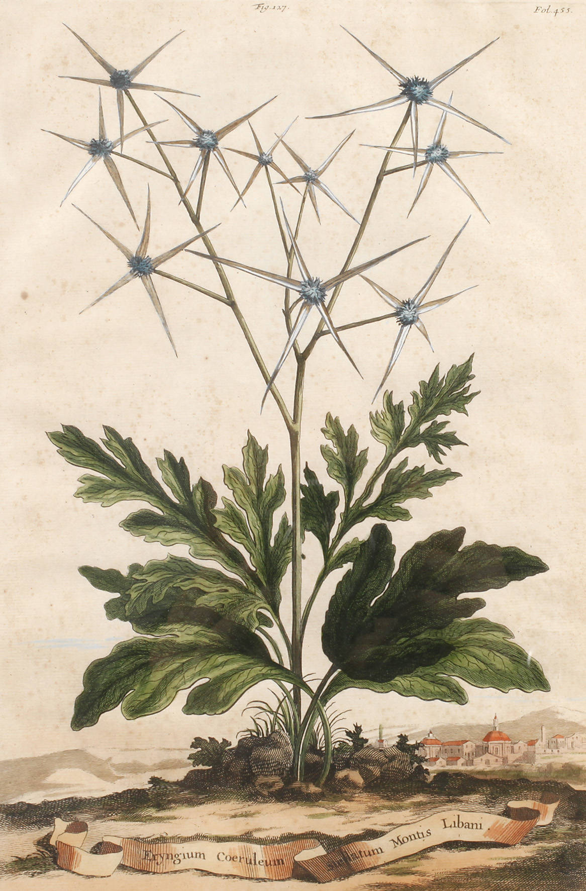 Manntreu vor Landschaft